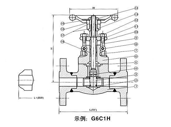 20101025231229336.jpg